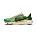 Nike Air Zoom Pegasus 41 'International Running Pack'