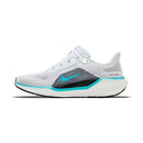 Nike Air Zoom Pegasus 41 'White Dusty Cactus'